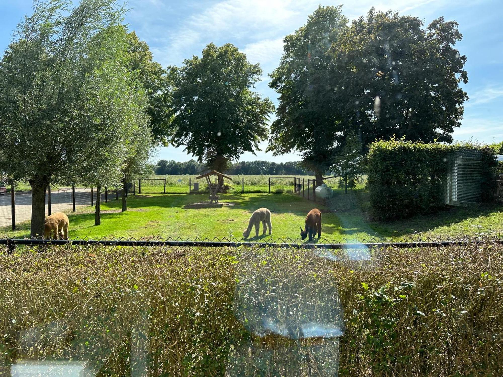 Alpacafarm Vorstenbosch Exterior photo