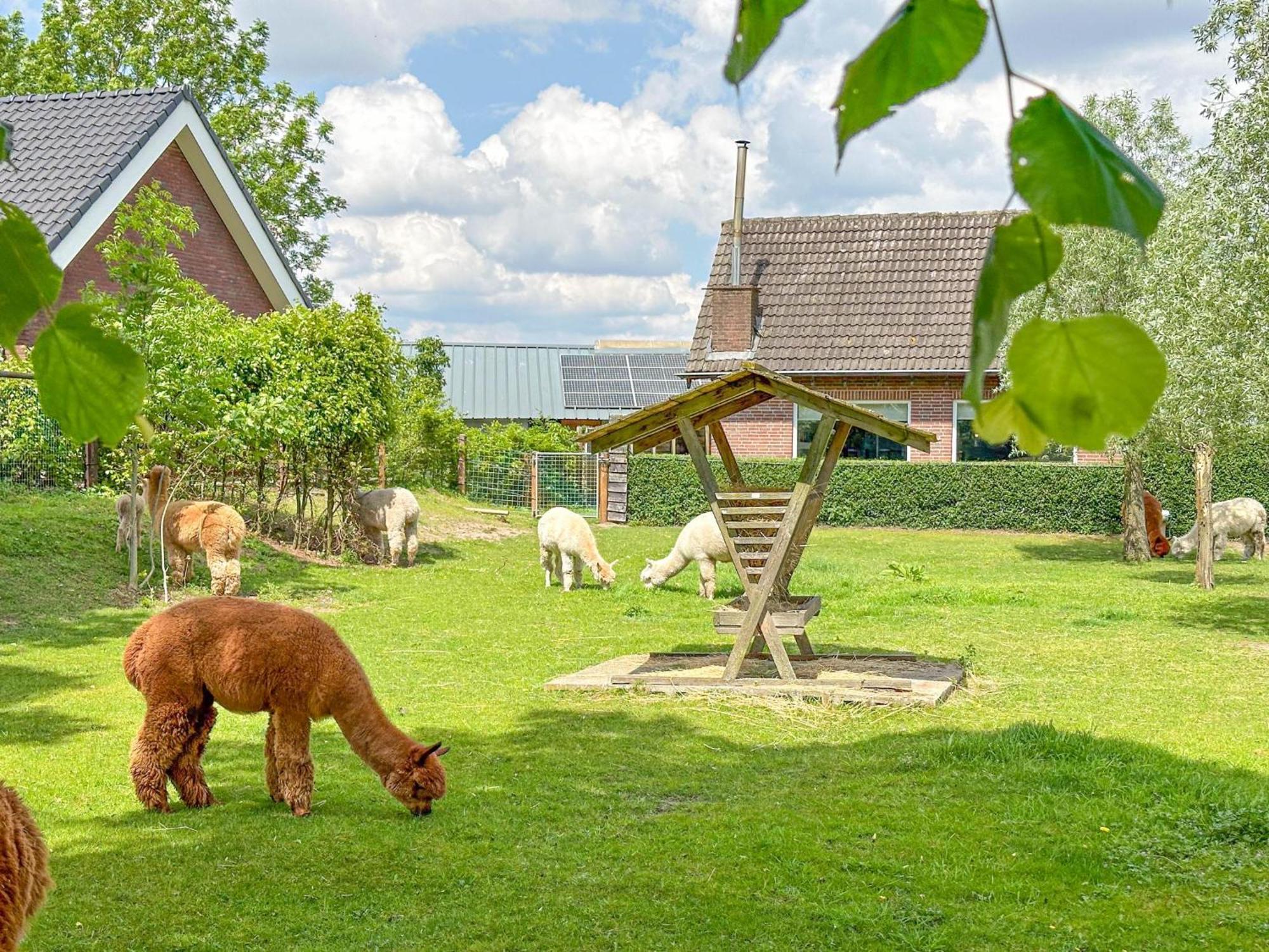 Alpacafarm Vorstenbosch Exterior photo