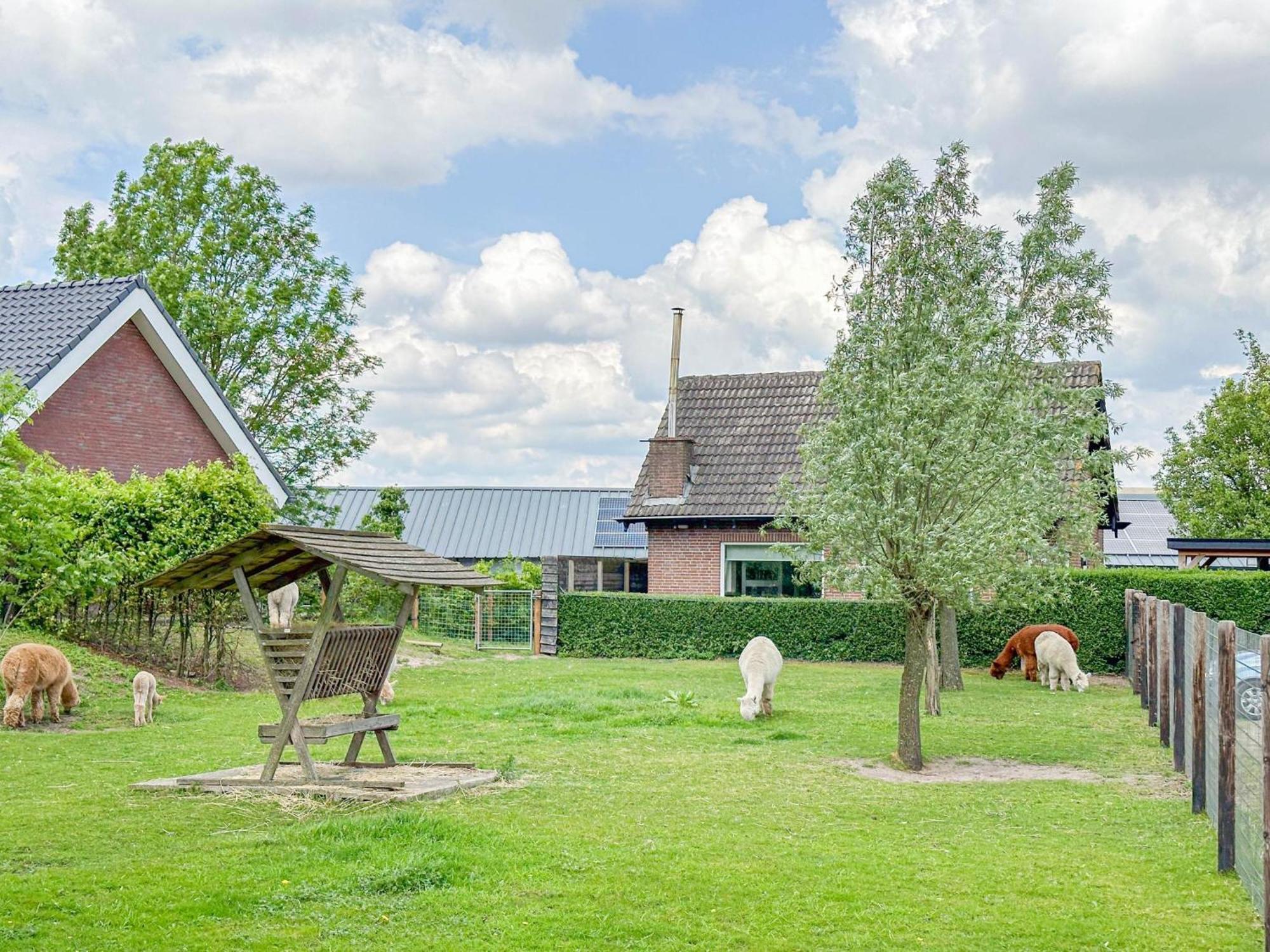 Alpacafarm Vorstenbosch Exterior photo